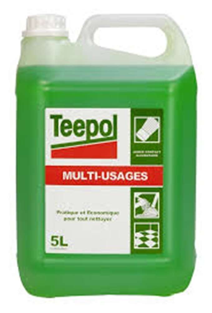 Teepol 5ltr cane