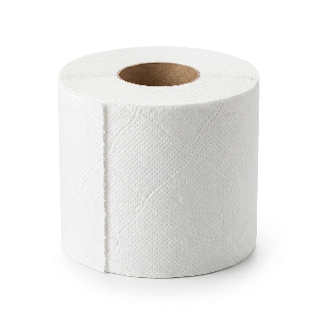 Toilet roll 80grm